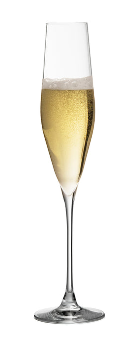 Bacci Flute Champagneglas