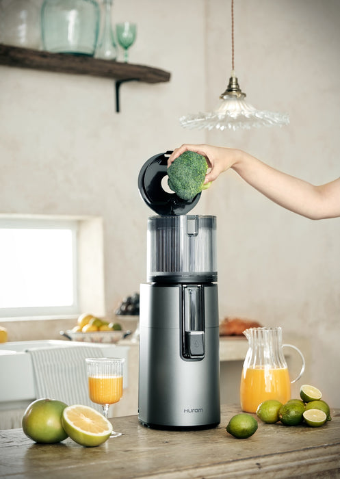 Easy Clean Slow Juicer H400 Titanium Grå